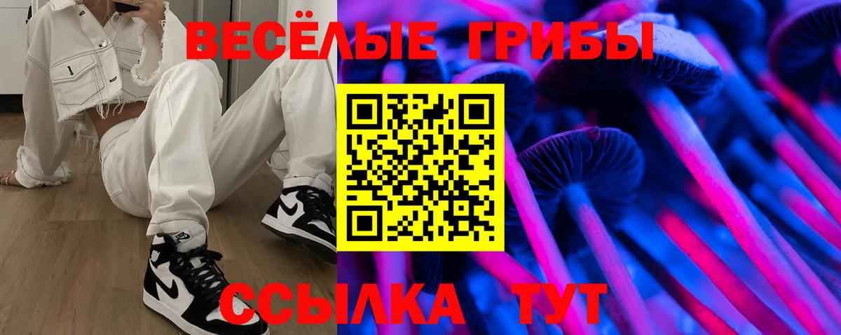 Рассказово  Галлюциногенные грибы прущие грибы  Вход с VPN 